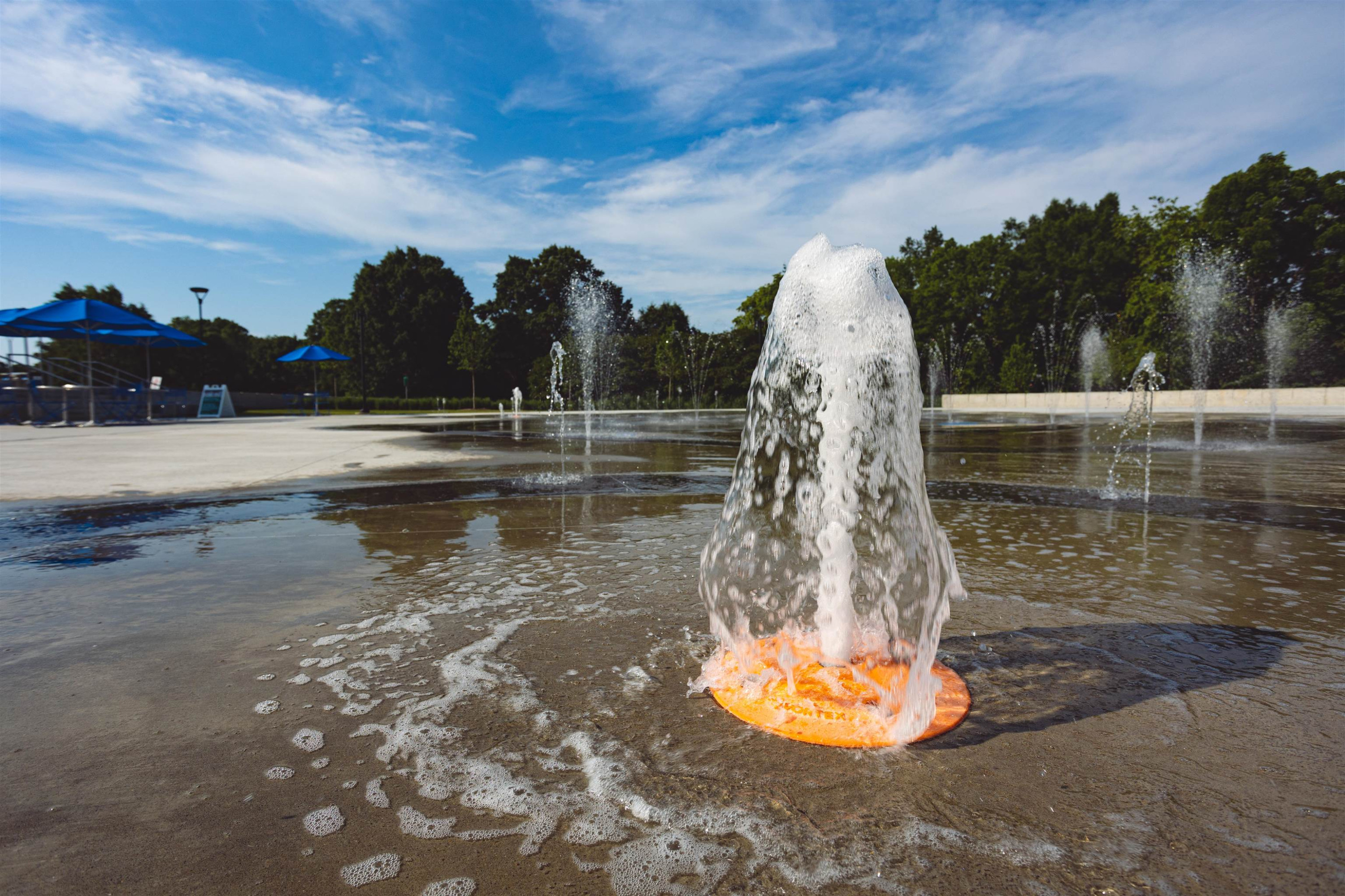 611 Walnut Hts Drive, Unit 103 Raleigh, NC 27610 - Photo 16 of 20 Photo 23