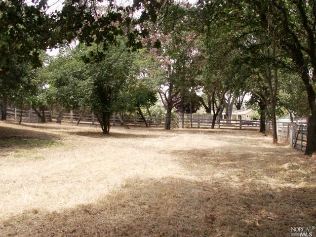 1763 Indian Valley Road Novato, CA 94947 - Photo 1 of 1 a view of outdoor space with trees