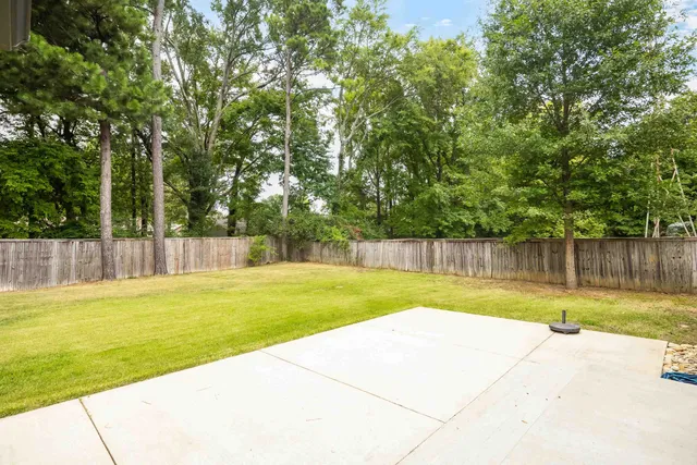 a view of a backyard with large trees