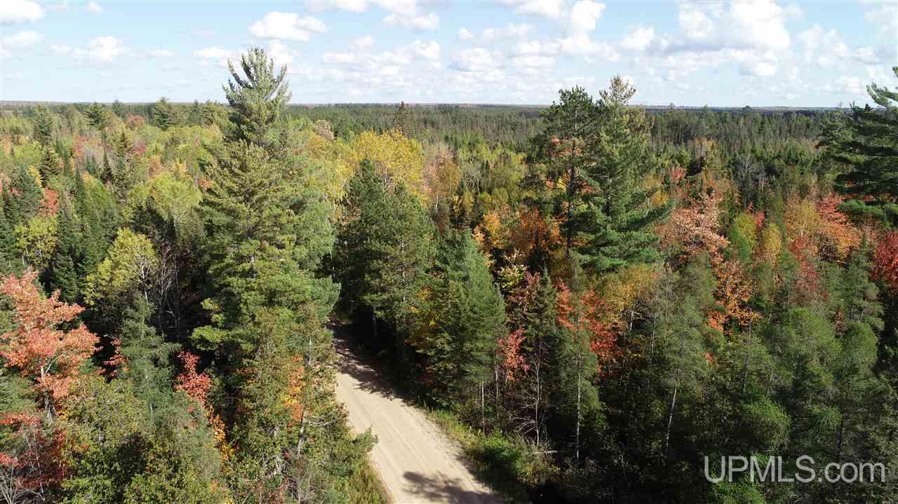 20-acres Tbd River Road Gulliver, MI 49840 - Photo 1 of 8 Gallery Image 1