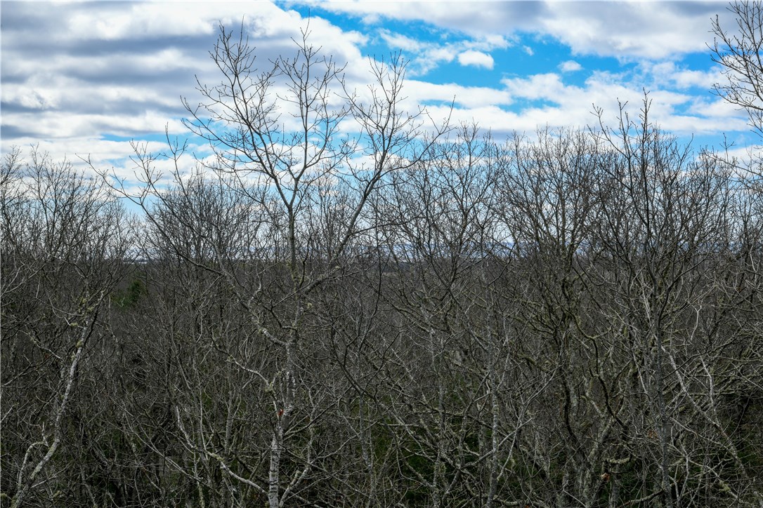 40 Old Coach Road Charlestown, RI 02813 - Photo 6 of 15