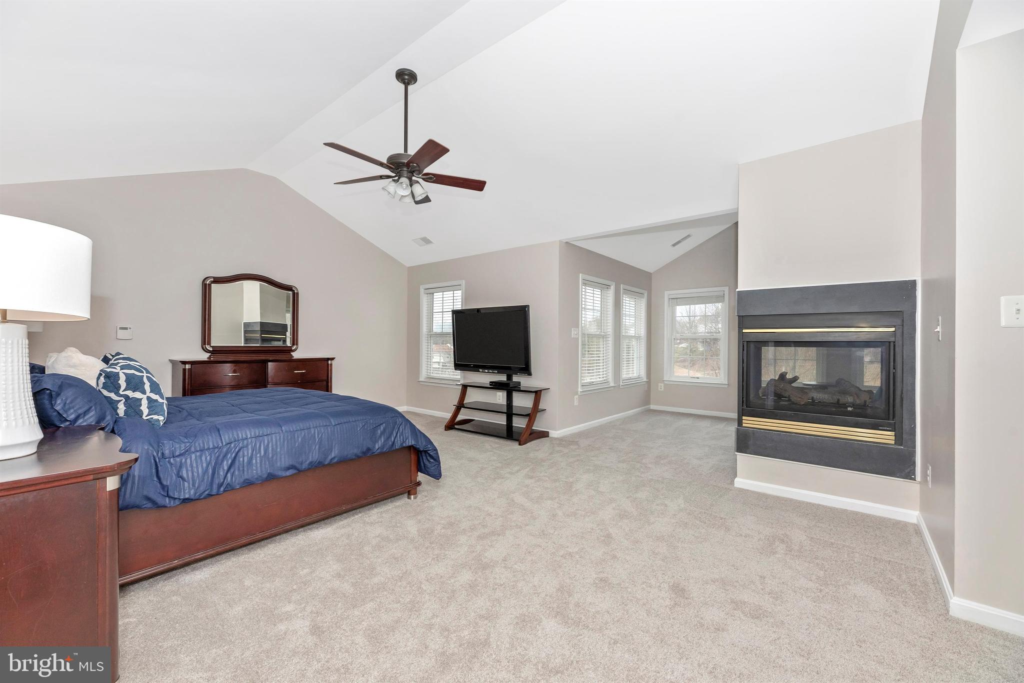 1507 Rising Ridge Road Mount Airy, MD 21771 - Photo 18 of 40 Master Suite with Fire Place