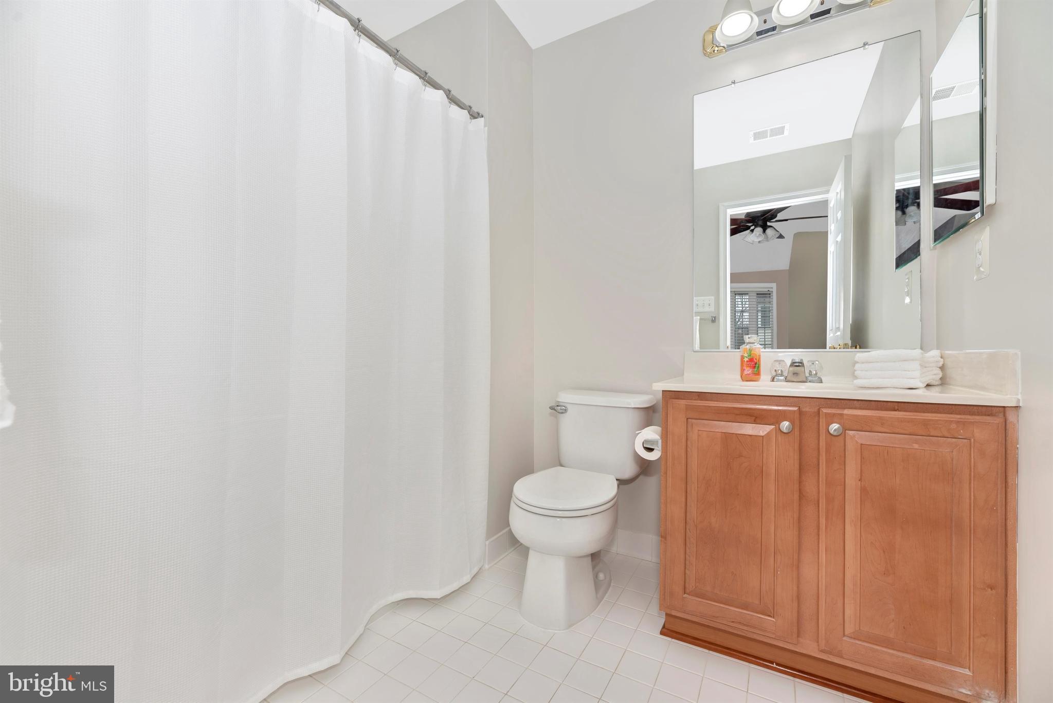1507 Rising Ridge Road Mount Airy, MD 21771 - Photo 27 of 40 Upper Level Hall Bathroom