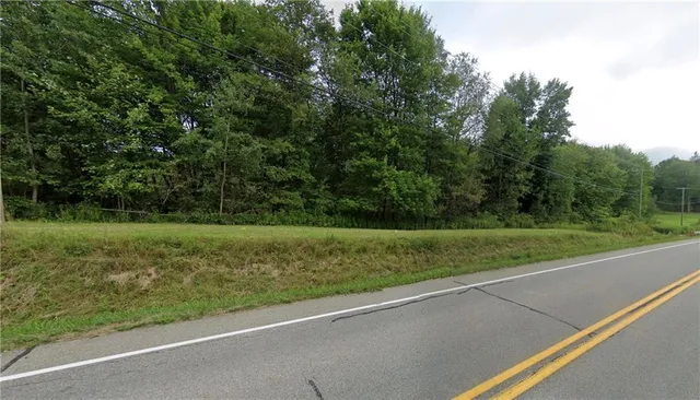 a view of a field of grass and trees