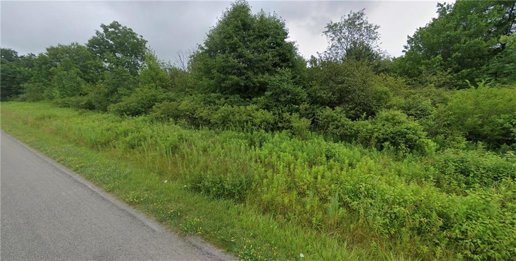 0 Franklin Road Jackson Center, PA 16133 - Photo 5 of 5 a view of a green field with lots of bushes