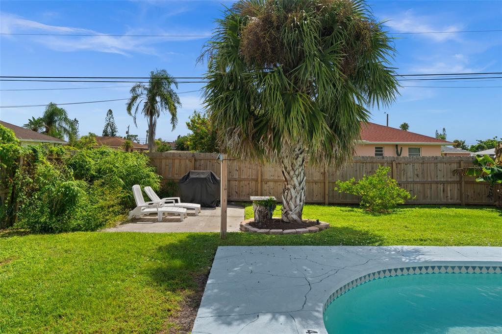 219 Coral Road Venice, FL 34293 - Photo 22 of 24 a view of a backyard with plants and palm tree