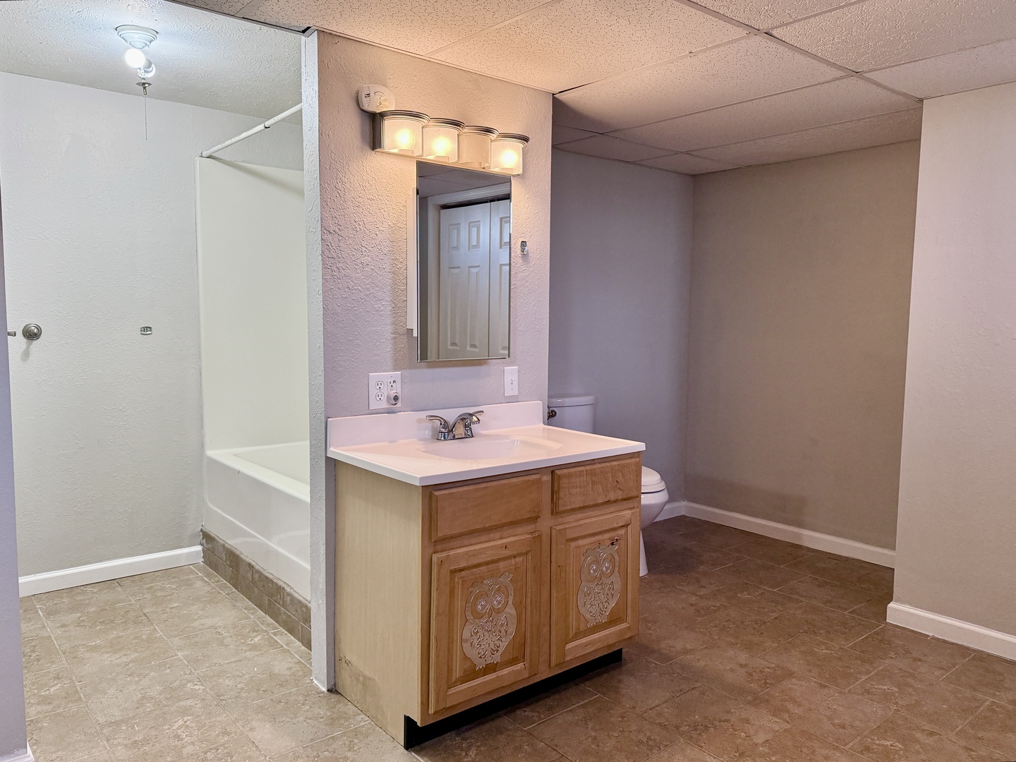 5488 Tick Ridge Road Grand Chain, IL 62941 - Photo 27 of 38 Gallery Image 27