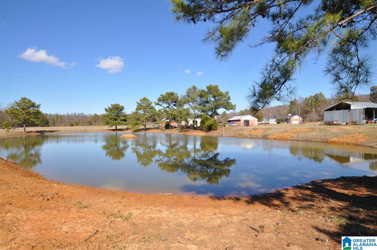 3787 Highway 11 Hayden Al Springville, AL 35146 - Photo 11 of 39