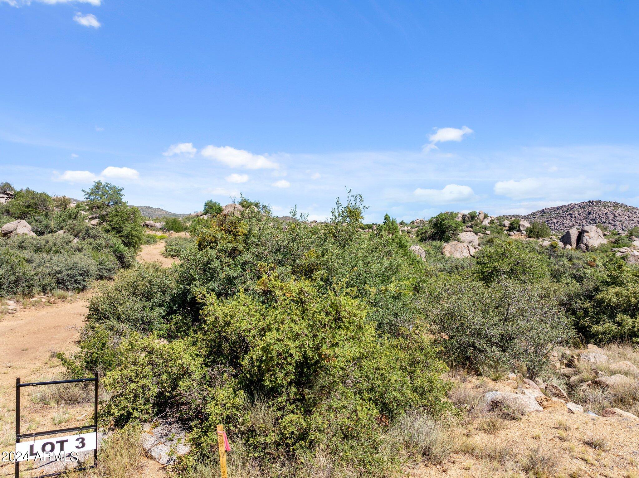 0 Pack Burro Trail, Unit 3 Yarnell, AZ 85362 - Photo 8 of 9 a view of a city