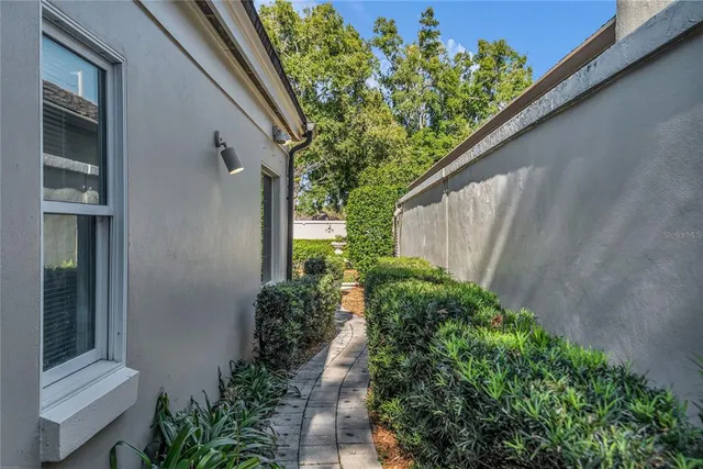 a view of garden with plants