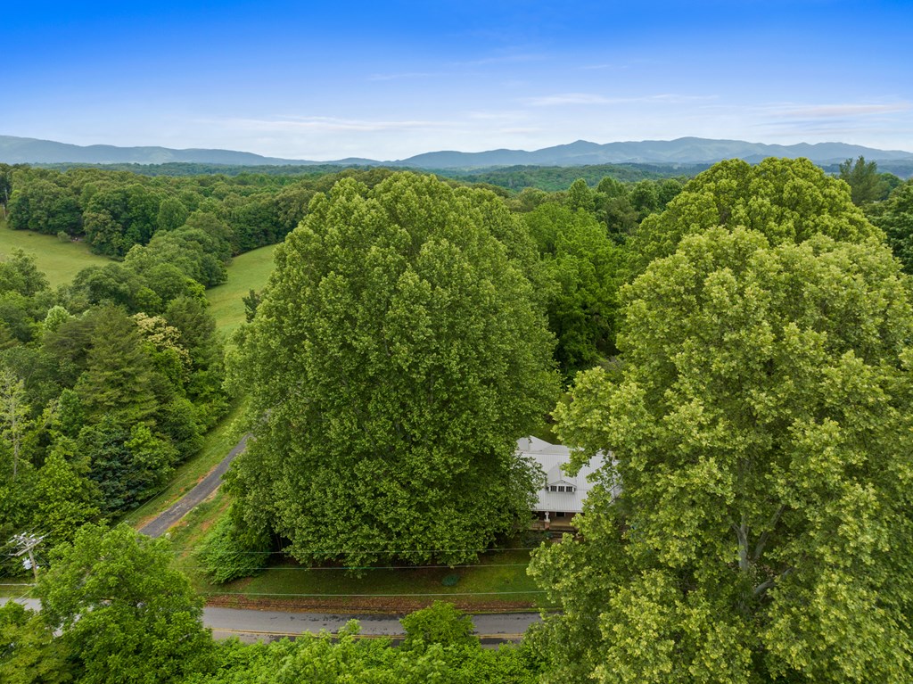 3.23 A Kingtown Street Blue Ridge, GA 30513 - Photo 7 of 12 Gallery Image 7