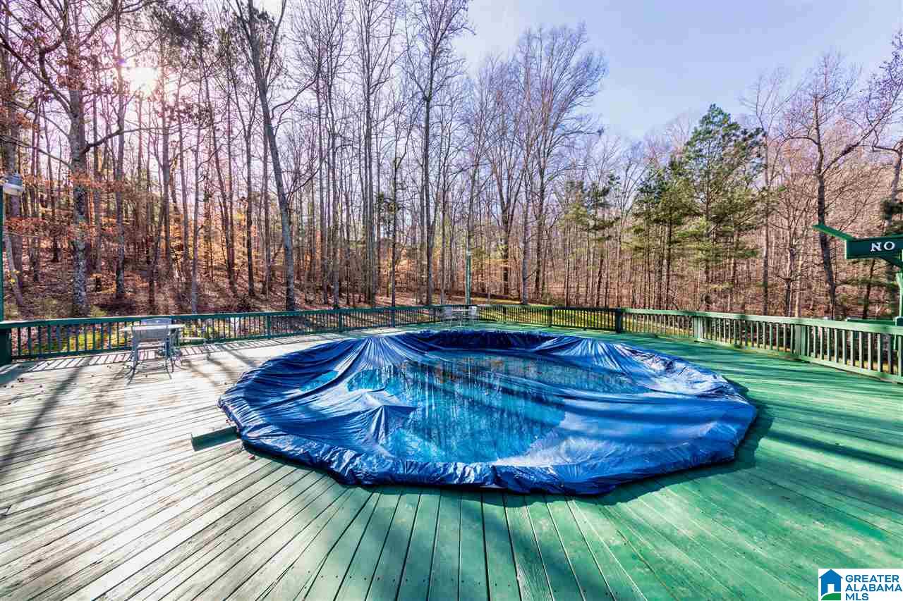 380 Brian Trail Springville, AL 35146 - Photo 1 of 34