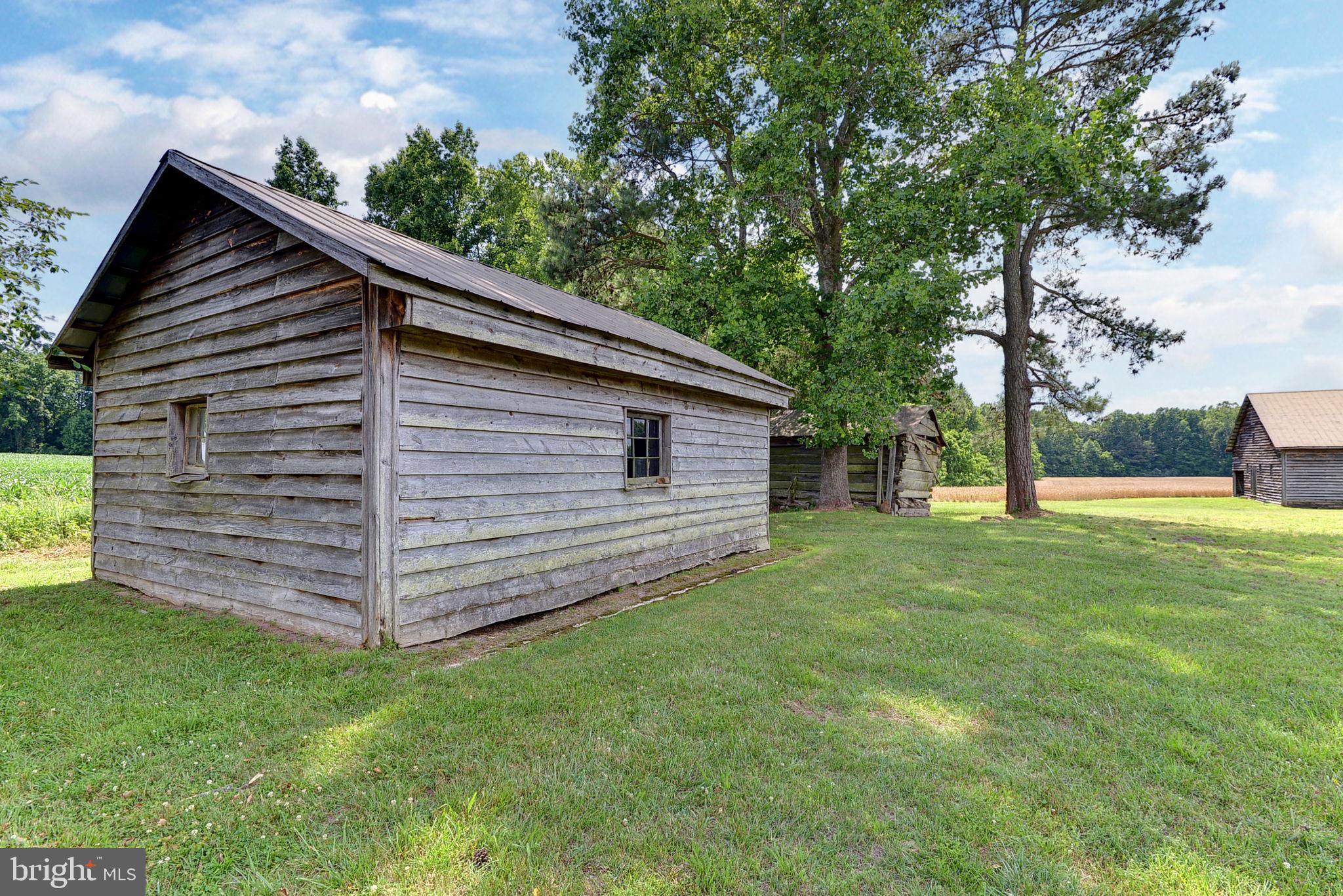 2459 Dunbrooke Road Tappahannock, VA 22560 - Photo 65 of 85 a view of a backyard with a large tree