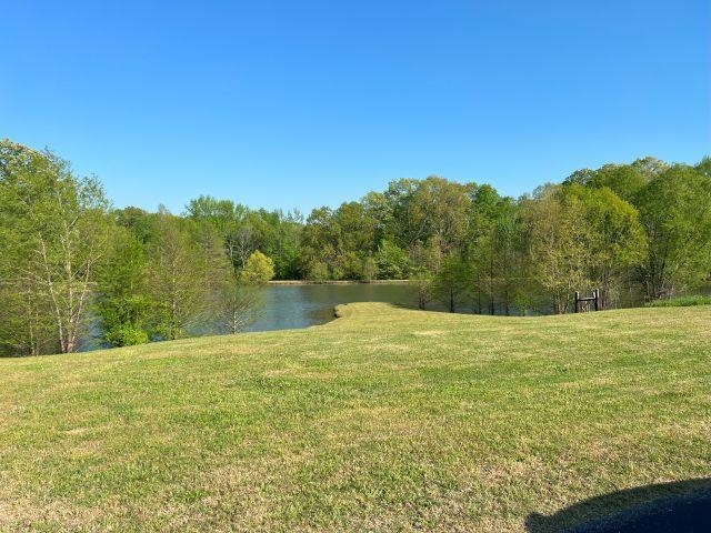 2055 Bobbitt Road Williston, TN 38076 - Photo 37 of 40 View of yard with a view of trees and a water view