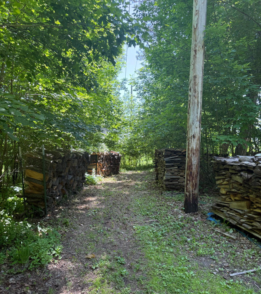 3628 Rau Road West Branch, MI 48661 - Photo 85 of 113 Trail