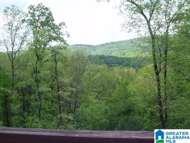 5639 Oak Mountain Lake Road Birmingham, AL 35242 - Photo 45 of 45