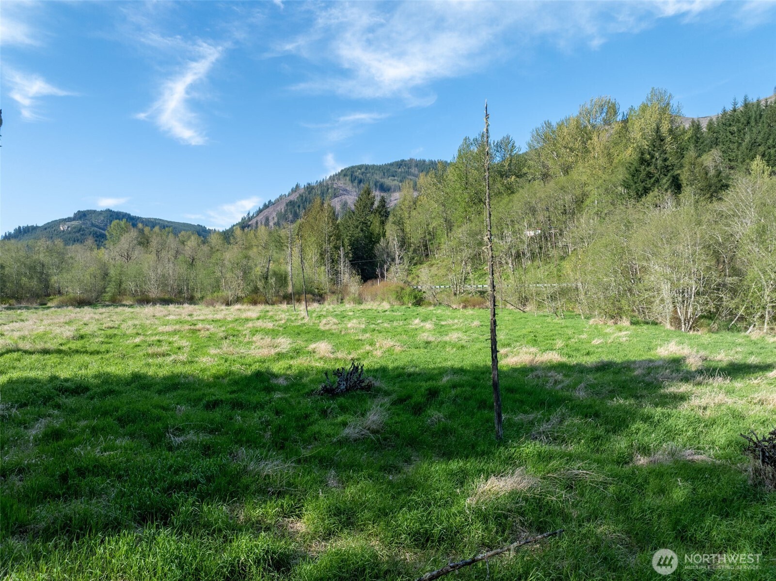 0 Davis Lake Road Morton, WA 98356 - Photo 14 of 25