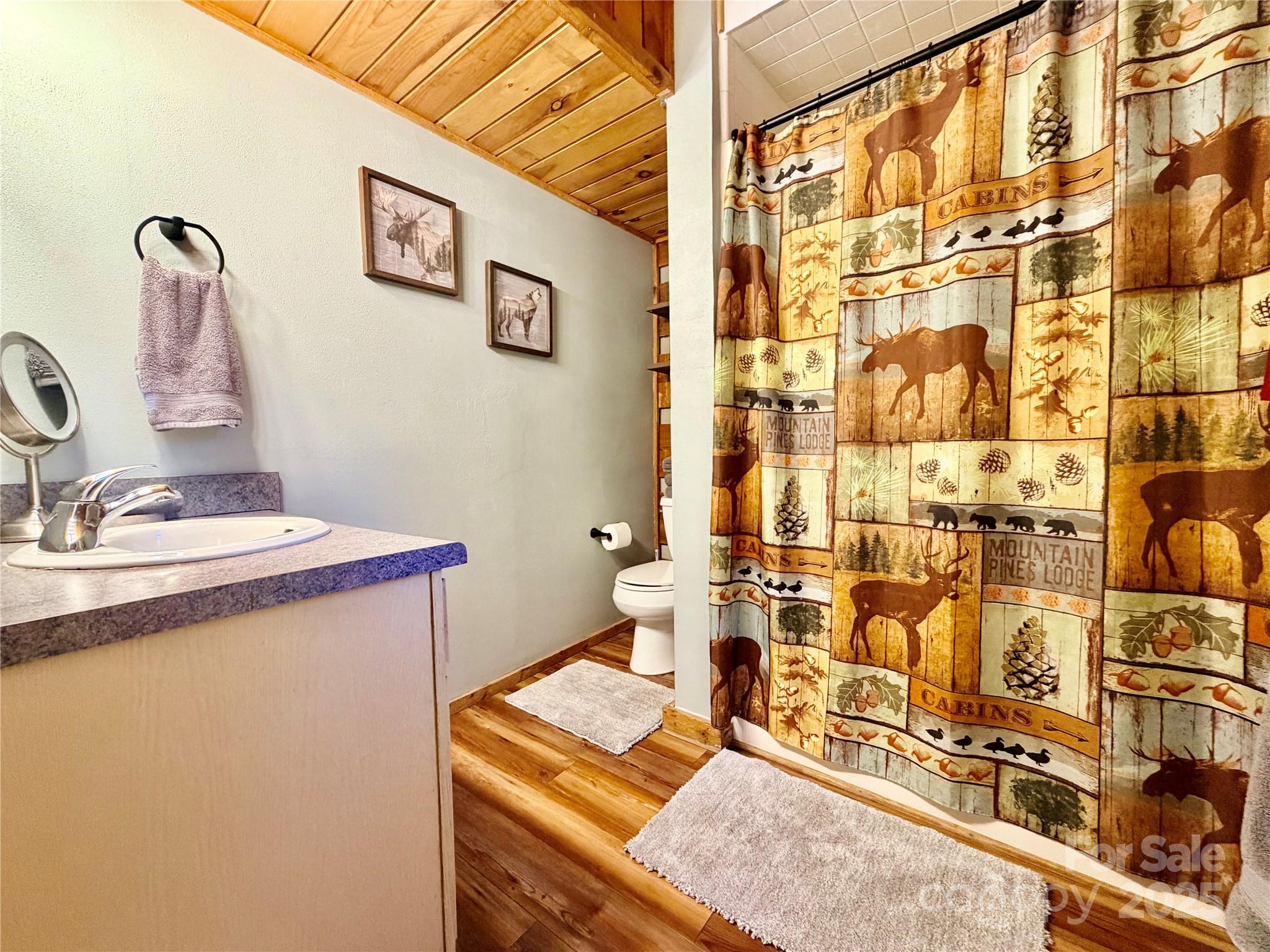 9710 Elk Creek Road Boone, NC 28607 - Photo 18 of 43 Gallery Image 18