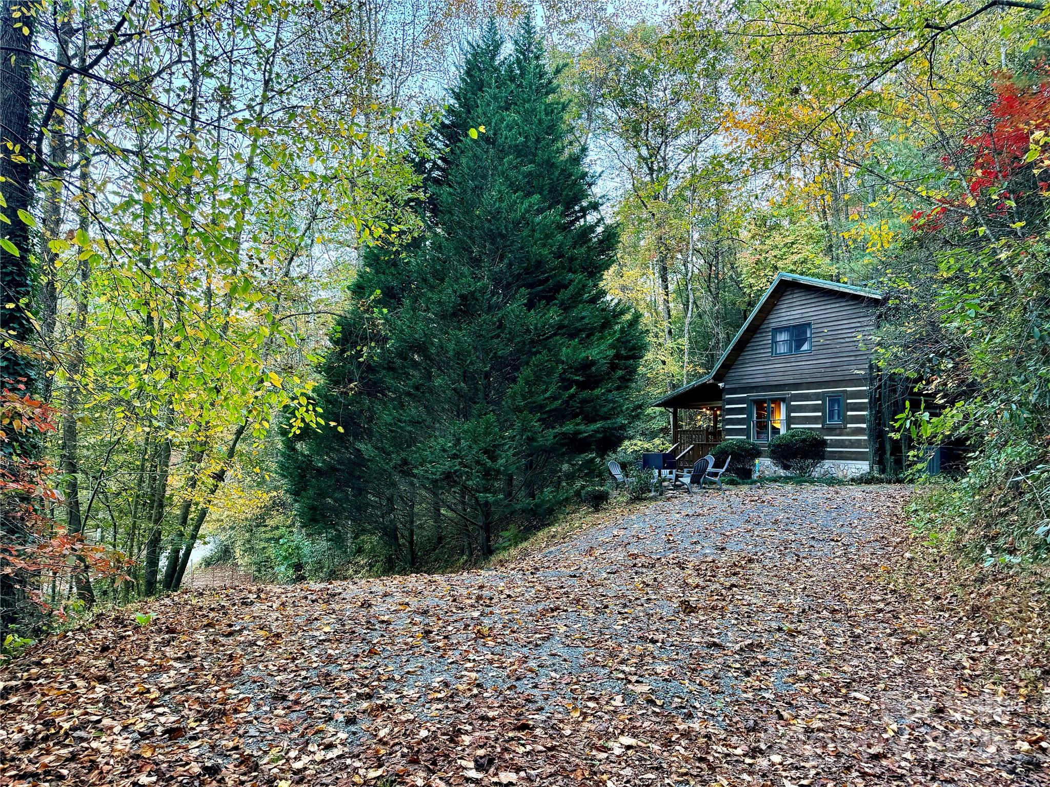 9710 Elk Creek Road Boone, NC 28607 - Photo 40 of 43 Gallery Image 40