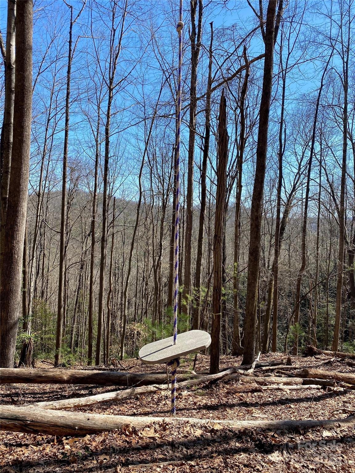 9710 Elk Creek Road Boone, NC 28607 - Photo 43 of 43 Gallery Image 43