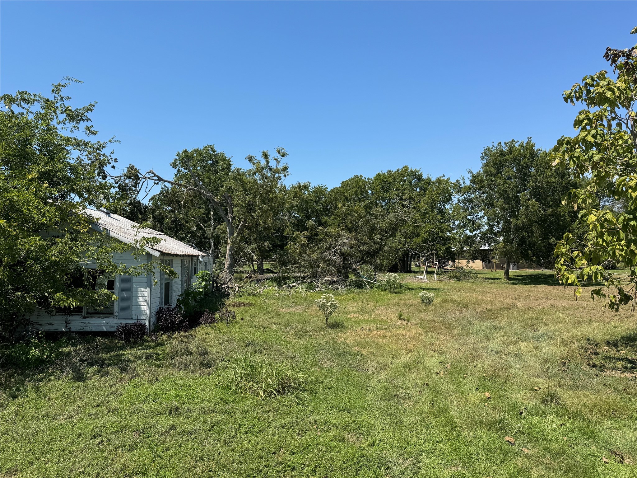 1035 21st Street Hempstead, TX 77445 - Photo 2 of 3 a backyard of a house with lots of green space