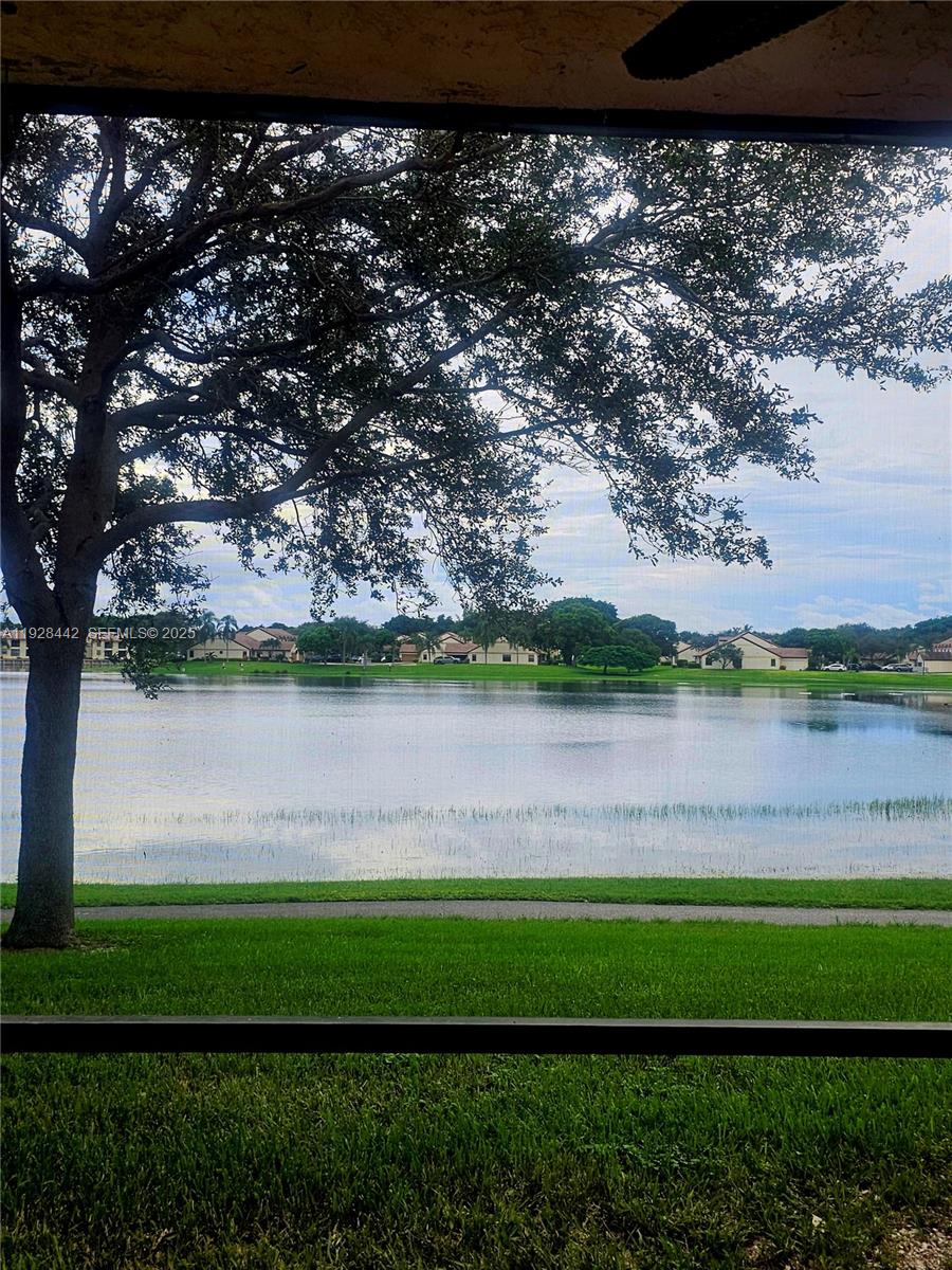 a view of a lake from a yard
