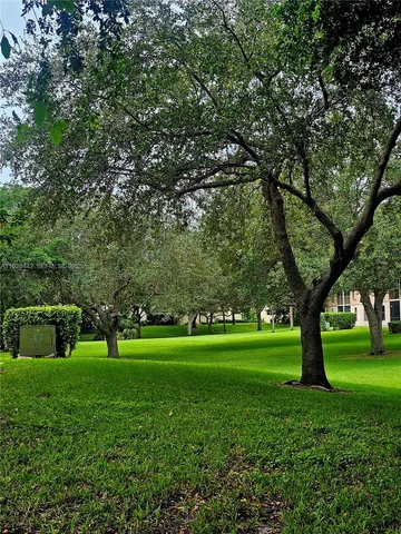 a view of a park with large trees
