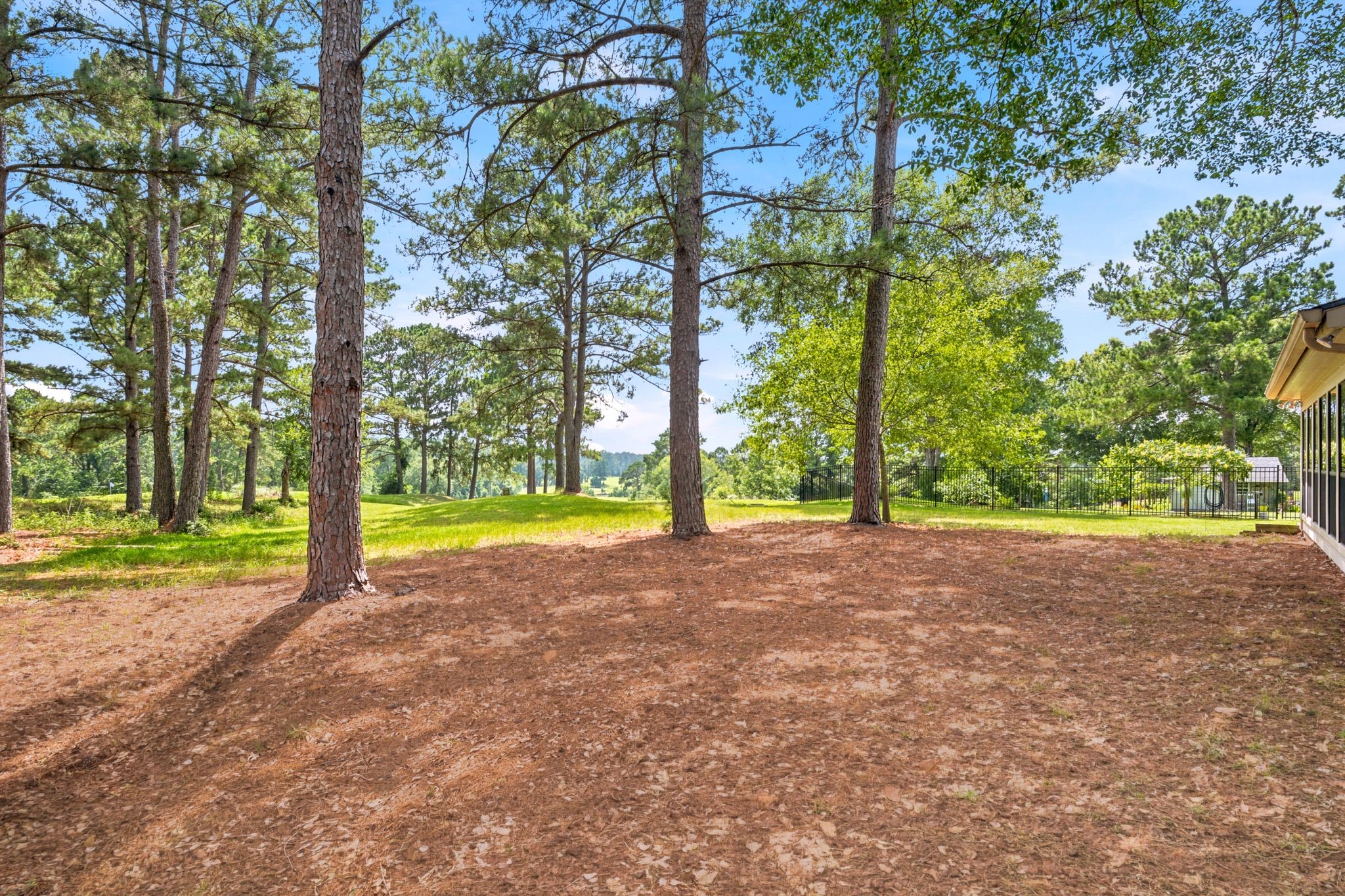 22509 Pebble Beach Way Point Blank, TX 77364 - Photo 29 of 30 Private, wooded greenbelt setting
