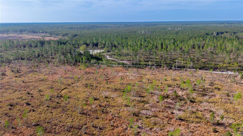 Tbd Southwest 83rd Way Gainesville, FL 32609 - Photo 11 of 12 a view of a field with trees in the background