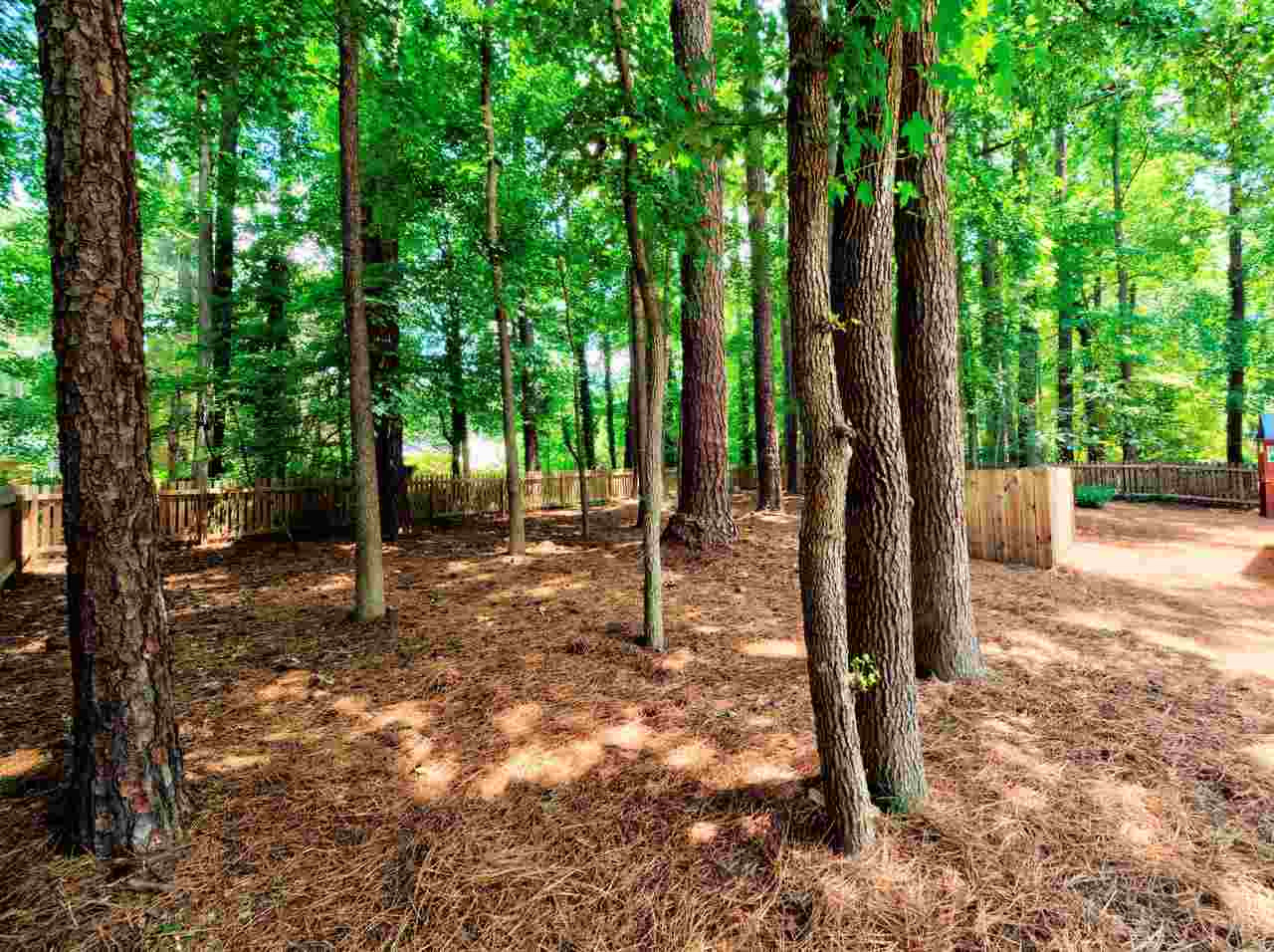 717 Van Thomas Drive Raleigh, NC 27615 - Photo 26 of 28 Photo 26