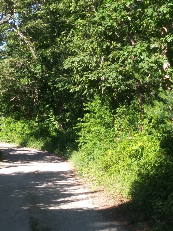 0 Lydias Island Road Wareham, MA 02571 - Photo 1 of 11