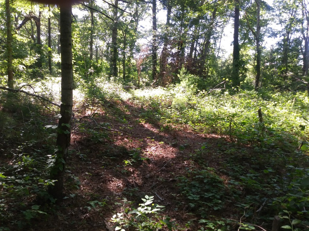0 Lydias Island Road Wareham, MA 02571 - Photo 2 of 11