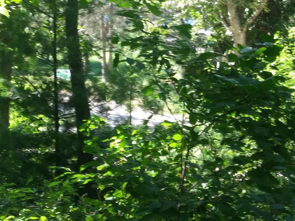 0 Lydias Island Road Wareham, MA 02571 - Photo 5 of 11