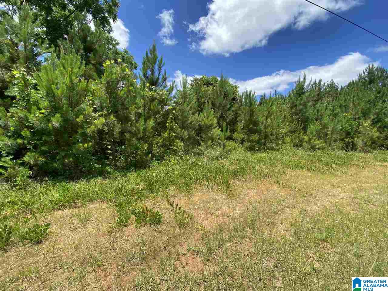 25 County Road, Unit 7 59 Woodland, AL 36280 - Photo 1 of 6