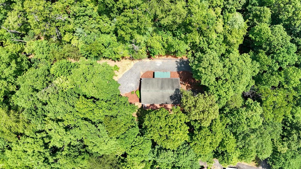 2333 Lovingood Road Hiawassee, GA 30546 - Photo 33 of 40 Gallery Image 33