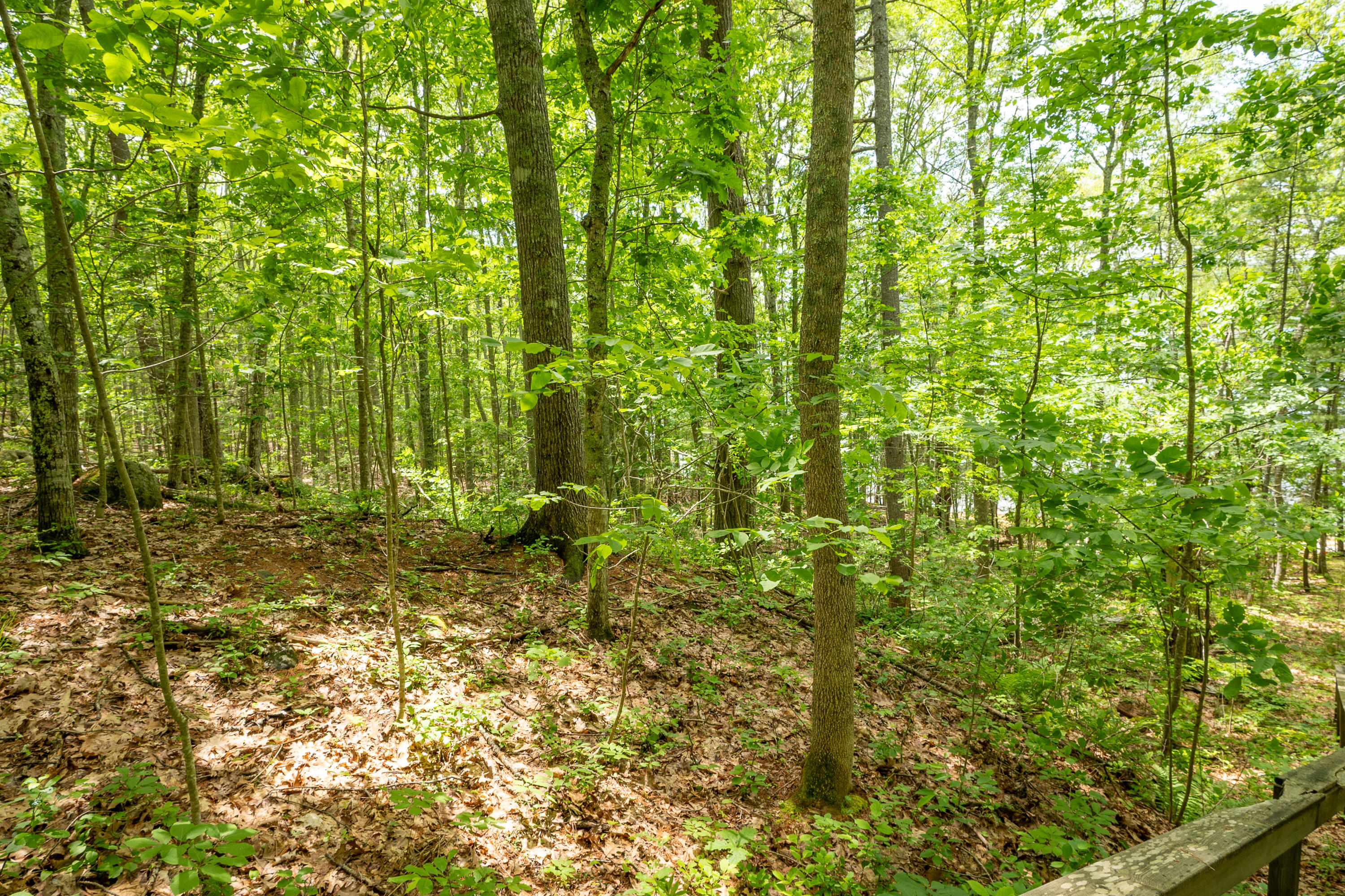 21 A Map 12 Lot21-a Bristol Road Bristol, ME 04539 - Photo 27 of 27 32-Near huston Ln-10