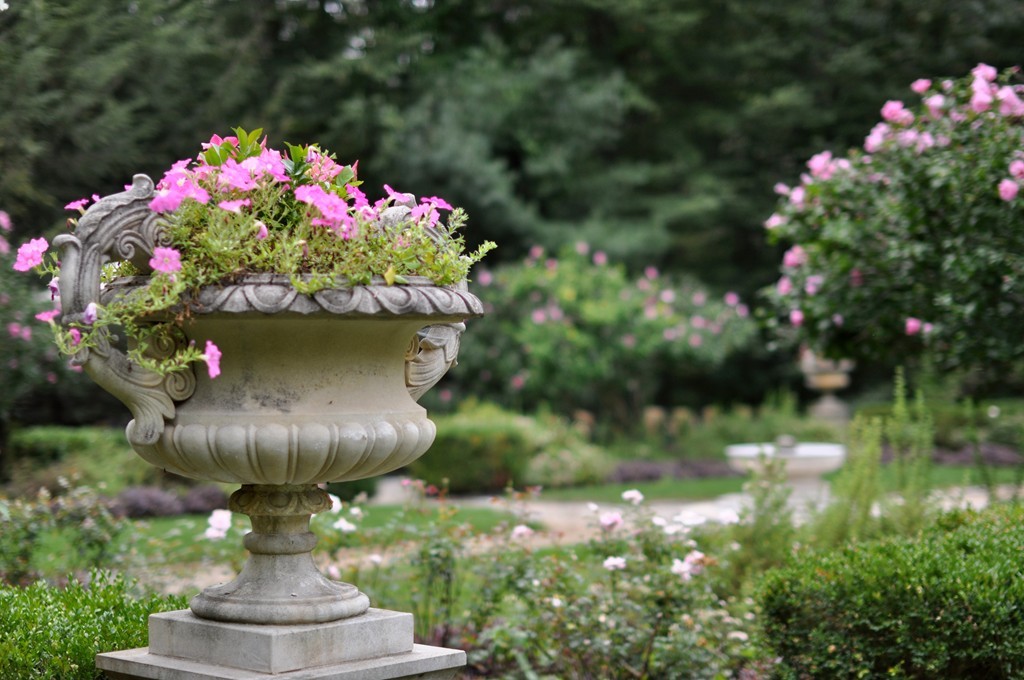 180 Pope Road Acton, MA 01720 - Photo 4 of 24 a view of a flower in a yard