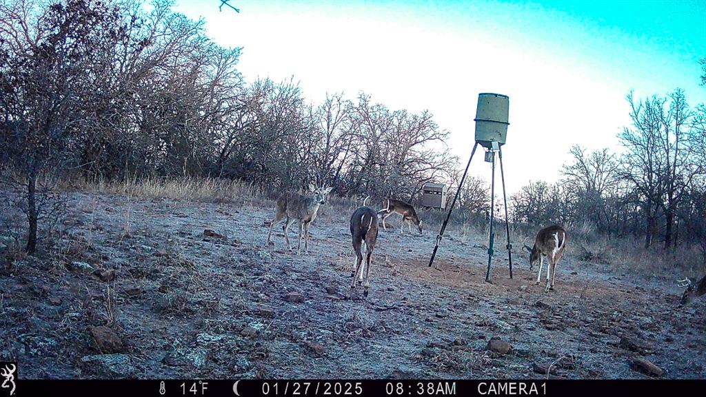 Tbd Bloodworth Road Bowie, TX 76230 - Photo 13 of 25