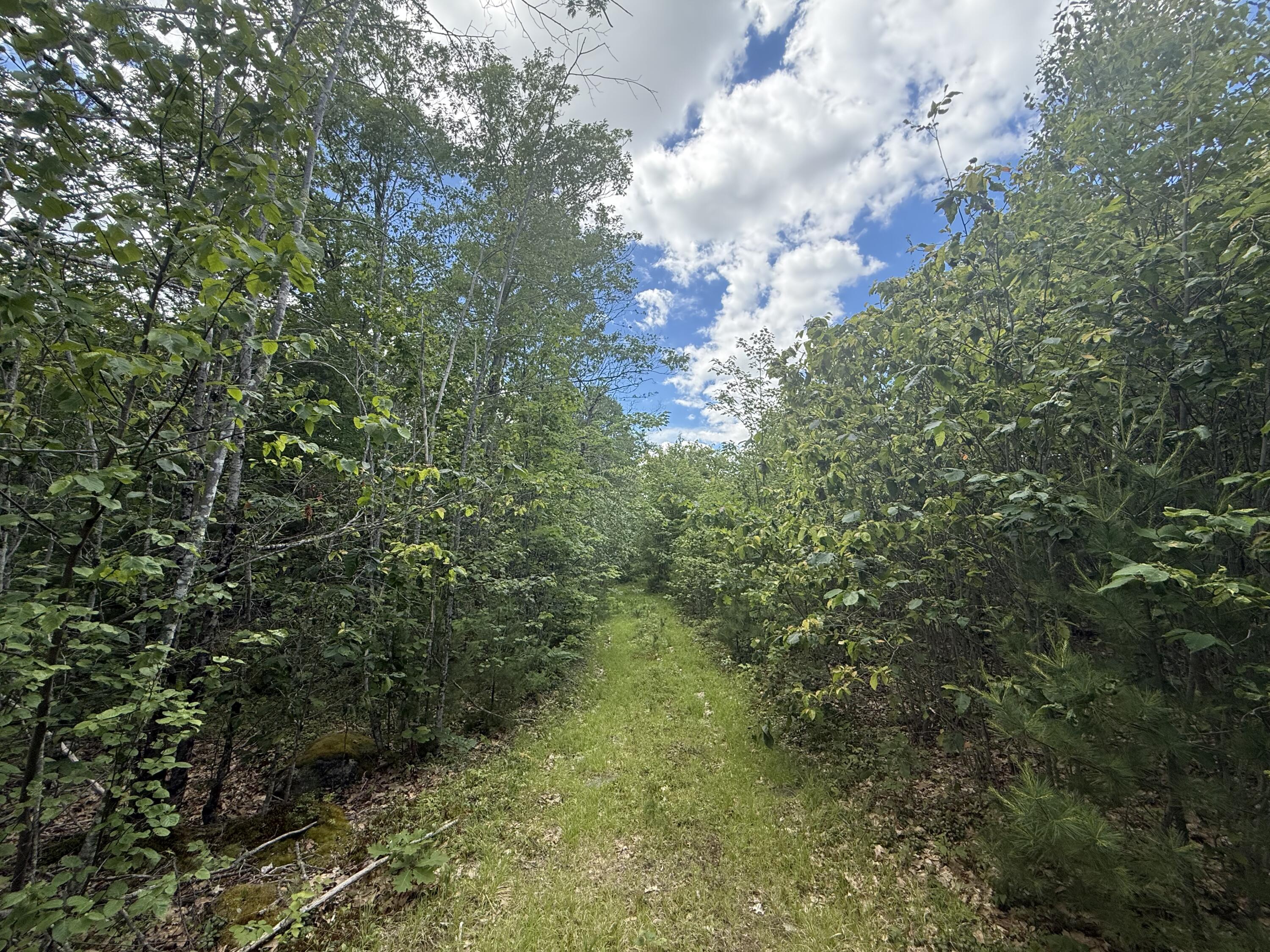 Lot 112 Mountain Road Warren, ME 04864 - Photo 7 of 7 IMG_3898