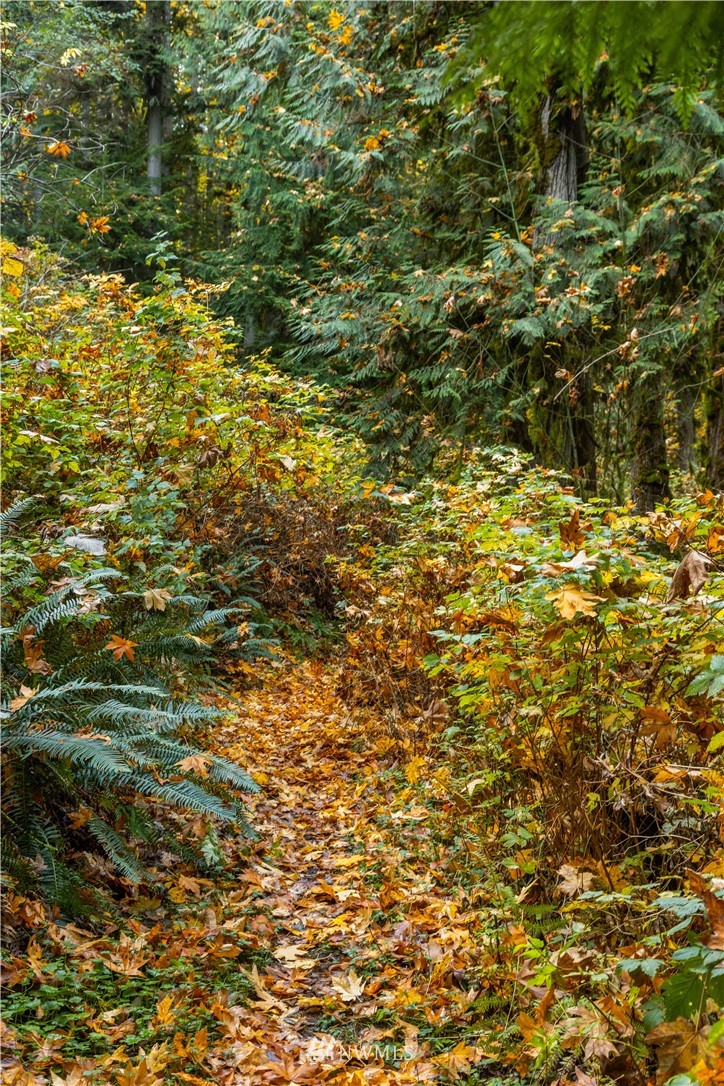 8707 West Snoqualmie Valley Road Northeast Carnation, WA 98014 - Photo 37 of 39 a view of a field