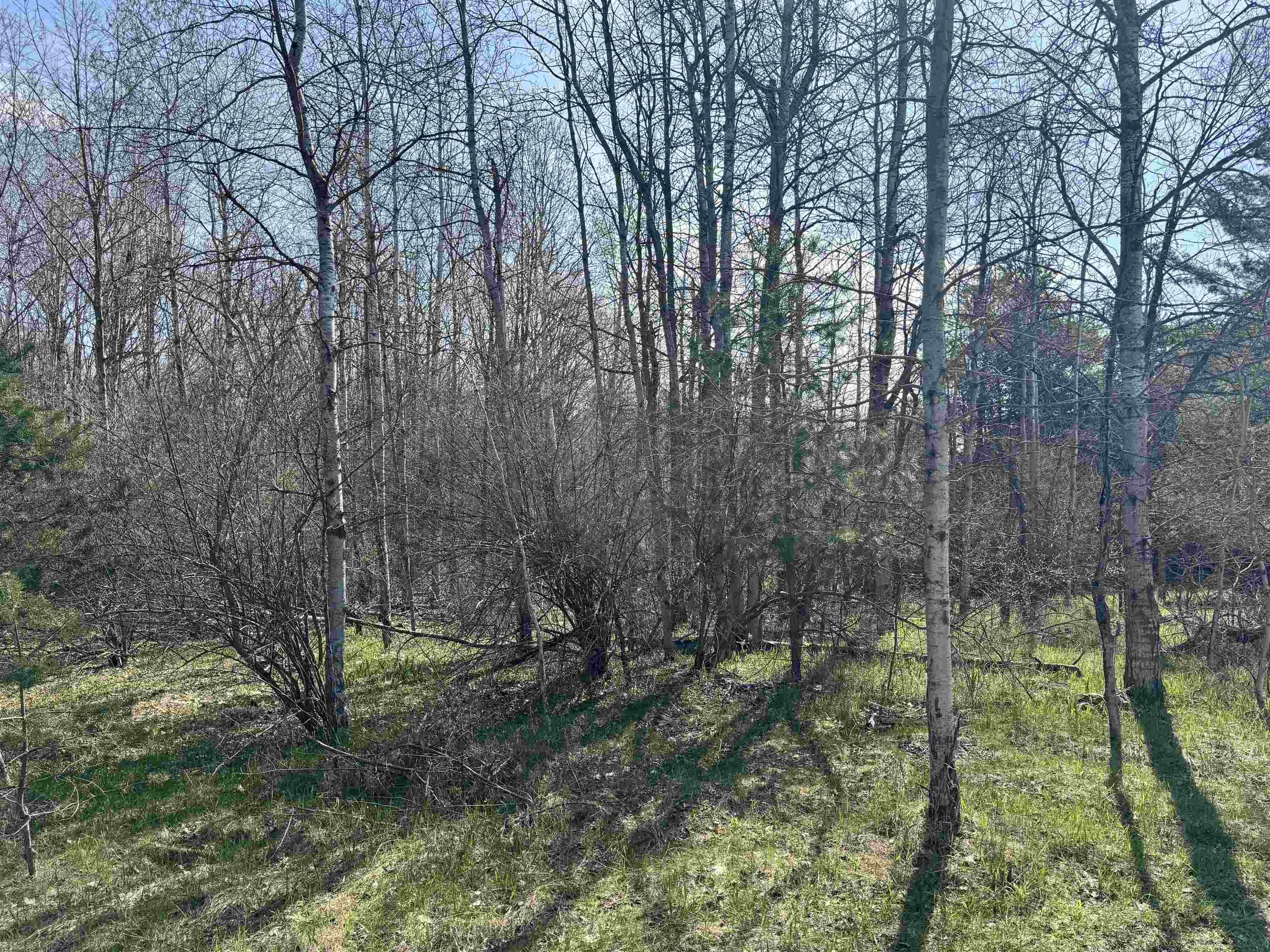 Tbd North Loomis Road Clare, MI 48617 - Photo 7 of 9