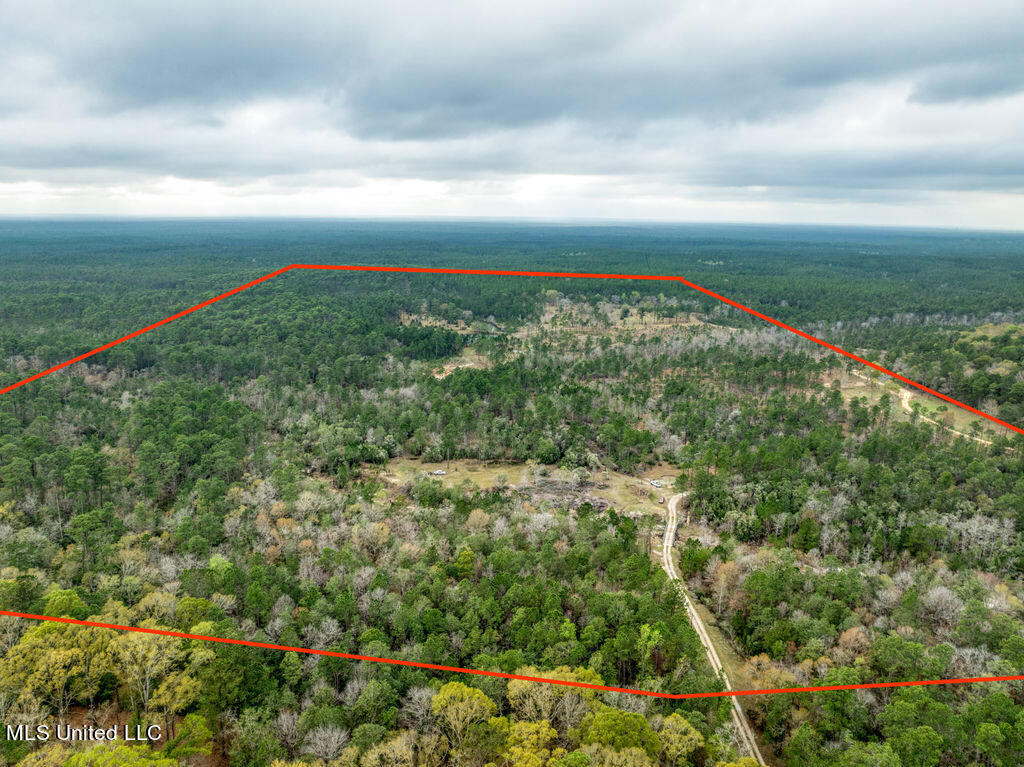 15429 Indian Fork Road Vancleave, MS 39565 - Photo 2 of 63 Arial of Land