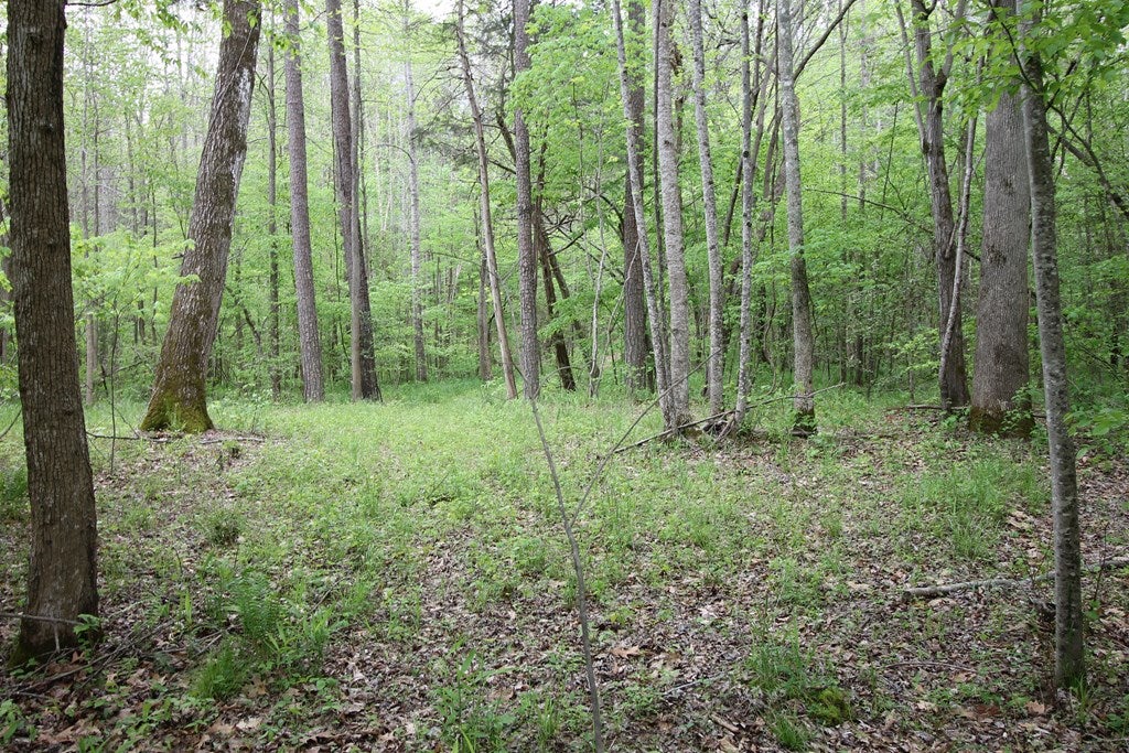 Sheltons Road, Unit 3 Drakes Branch, VA 23937 - Photo 15 of 18 Gallery Image 15