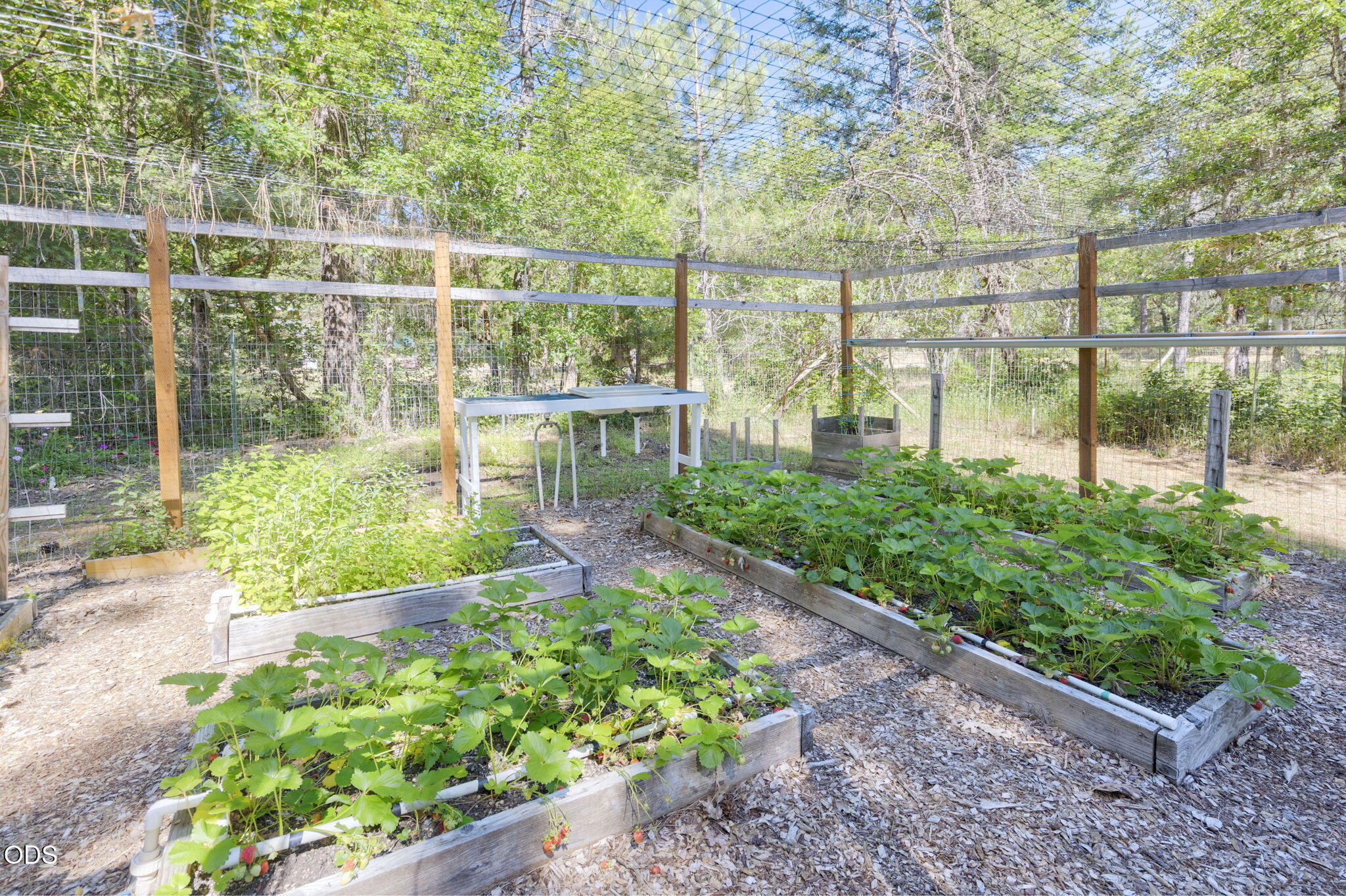 1740 Queens Branch Road Rogue River, OR 97537 - Photo 28 of 63