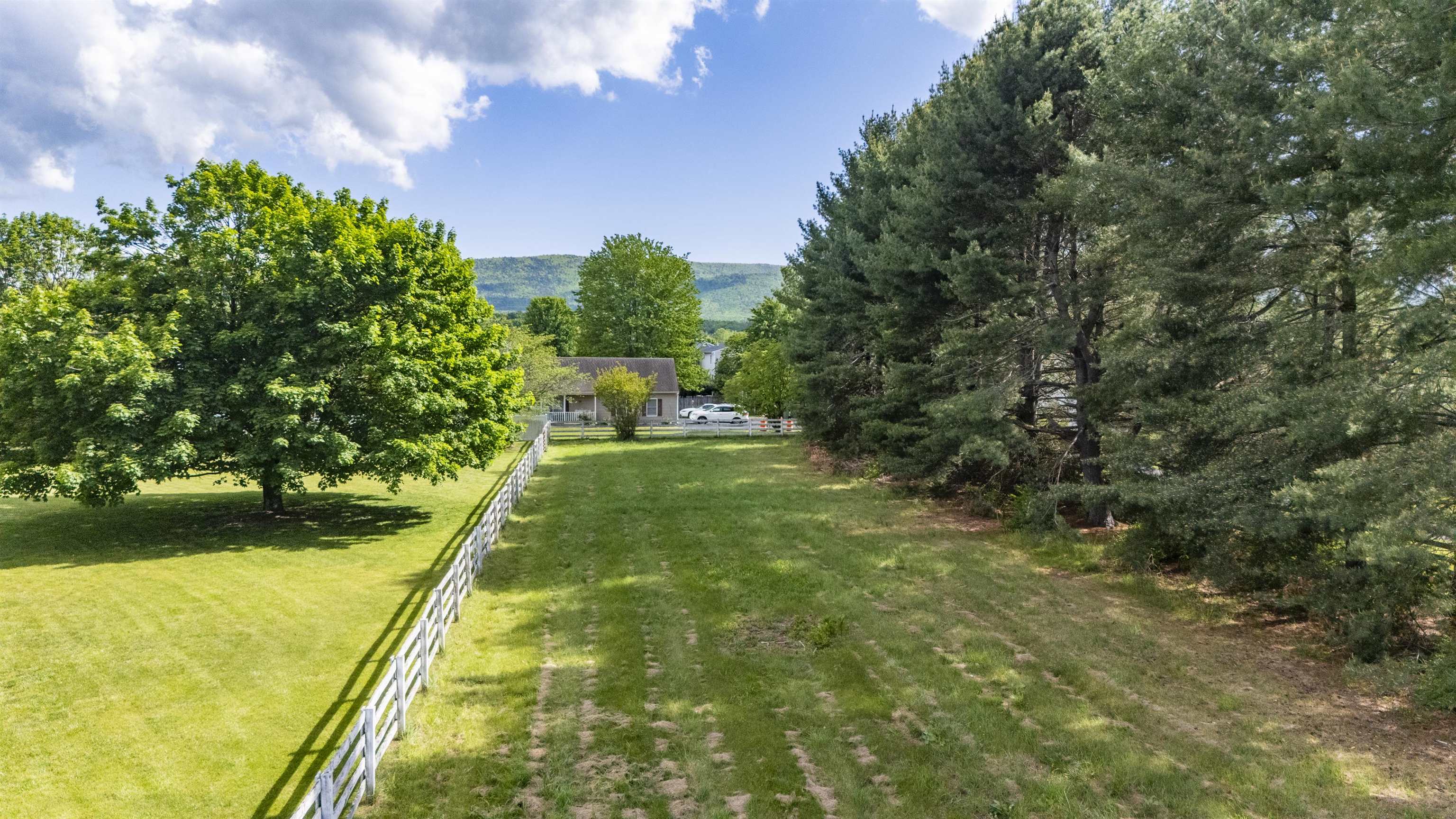 a backyard of a house with lots of green space