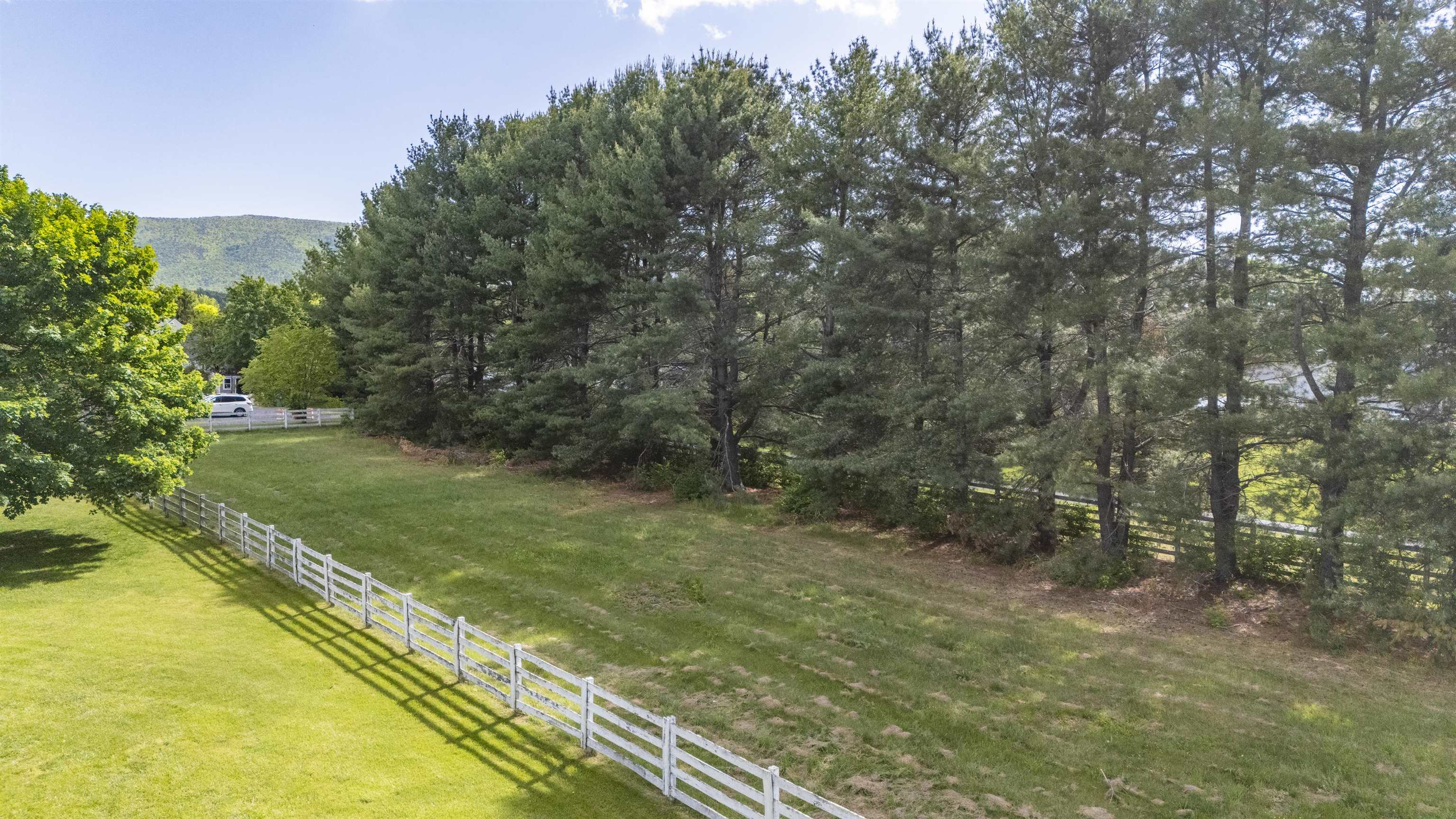 Tbd Cold Springs Road Stuarts Draft, VA 24477 - Photo 2 of 3 a big yard with lots of green space and deers
