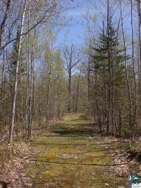 88890 Turner Road Bayfield, WI 54814 - Photo 17 of 25 Gallery Image 17