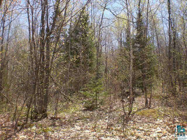 88890 Turner Road Bayfield, WI 54814 - Photo 19 of 25 Gallery Image 19