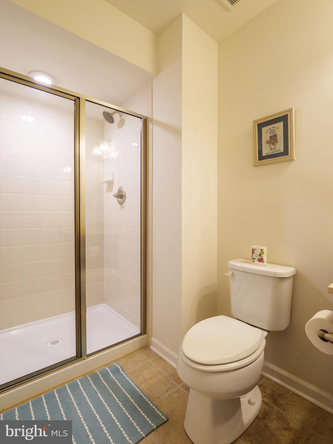 3412 St Marys View Road Accokeek, MD 20607 - Photo 37 of 47 Modern basement bathroom with sleek shower design.