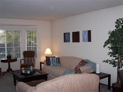 1138 Navarro Street Santa Rosa, CA 95401 - Photo 2 of 10 Bright and open living room with large windows.